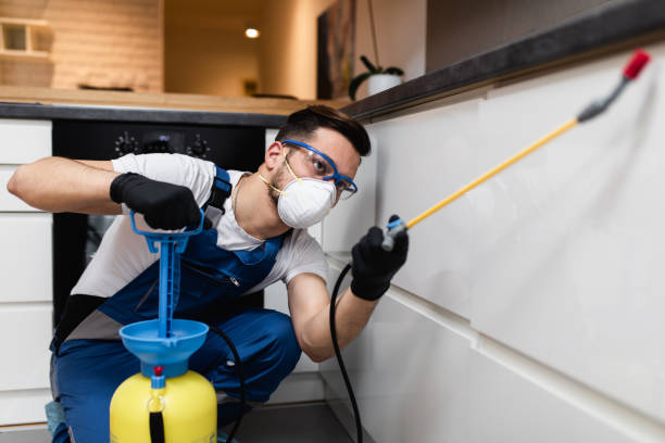 Best Flea Control Services  in Lawrenceburg, TN
