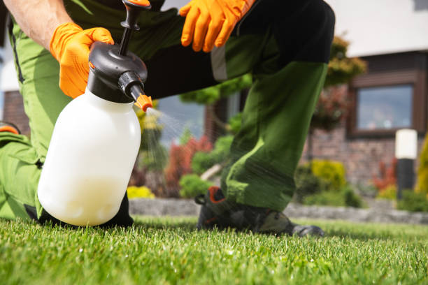 Best Rat Extermination Near Me  in Lawrenceburg, TN