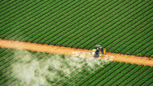 Best Commercial Pest Control Services  in Lawrenceburg, TN