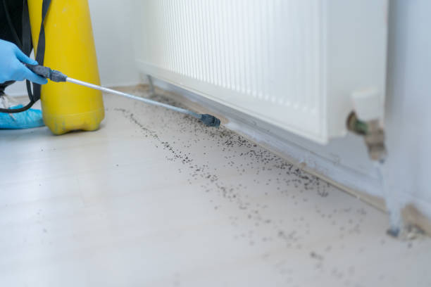 Professional Pest Control in Lawrenceburg, TN